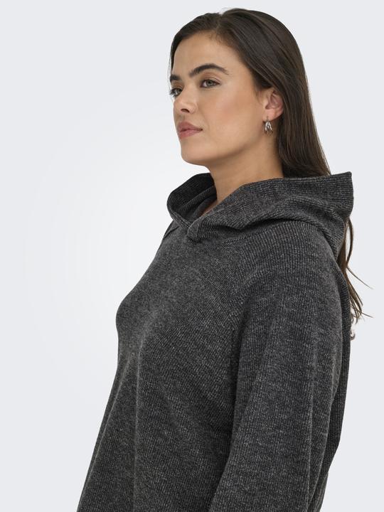 Immagine prodotto Only CARBIZZY Sweatshirt Kapuzenpullover (M)