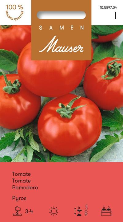 Produktbild Samen Mauser Tomate Pyros (Gemüsesamen)