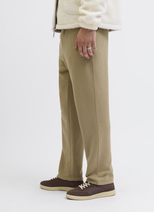 Actual product image Jack & Jones Relaxed Fit Relaxed Fit Hosen Relaxed Fit Hosen (M)