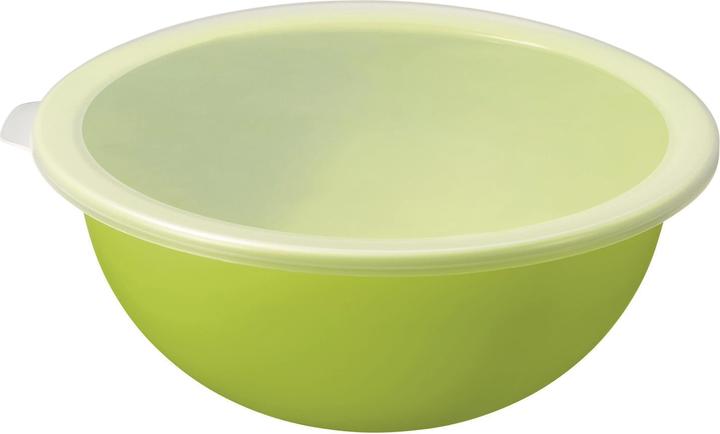 Actual product image Rotho Caruba (30.50 cm, 4.80 l, 1x)