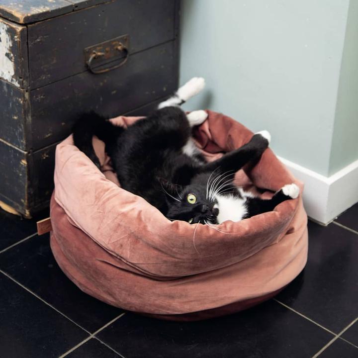 Productafbeelding Designed by Lotte Fluco (Kat)