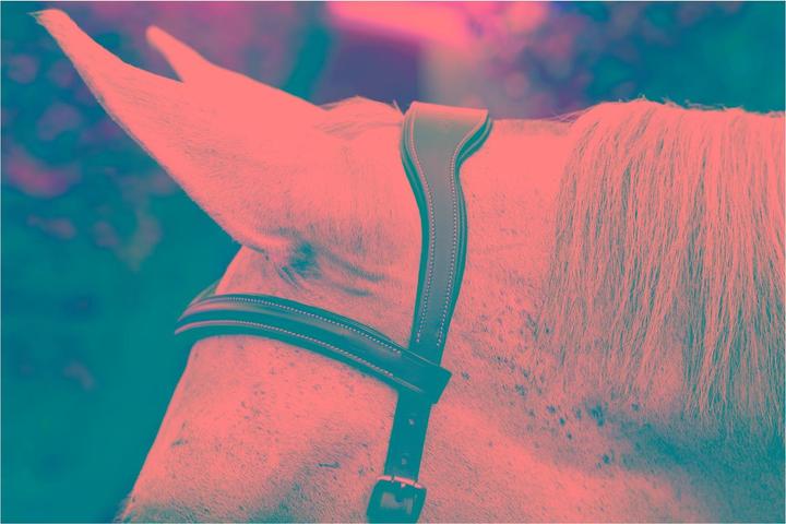 Produktbild Horseware Zaum Micklem Deluxe