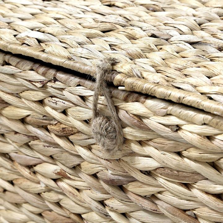 Actual product image Casâme Wasserhyazinthen (35 cm)