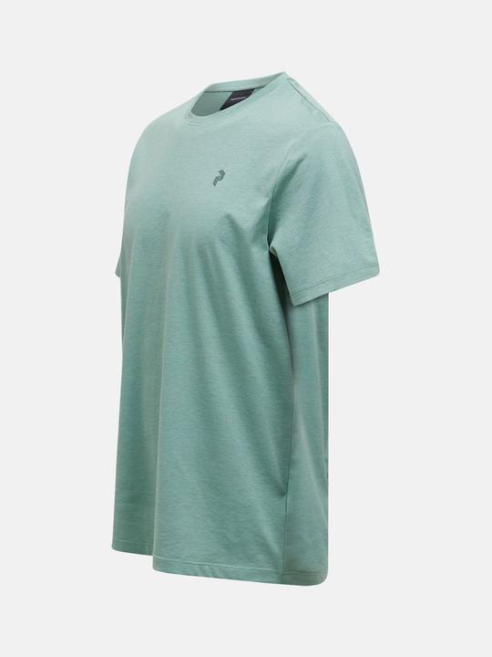 Actual product image Peak Performance Explore Graphic Tee (XL)