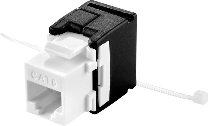 Image du produit Renkforce Module Keystone CAT6A sans outil (Accessoires réseau)