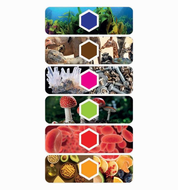 Productafbeelding Clementoni Microscoop met slimme AI en wifi-camera