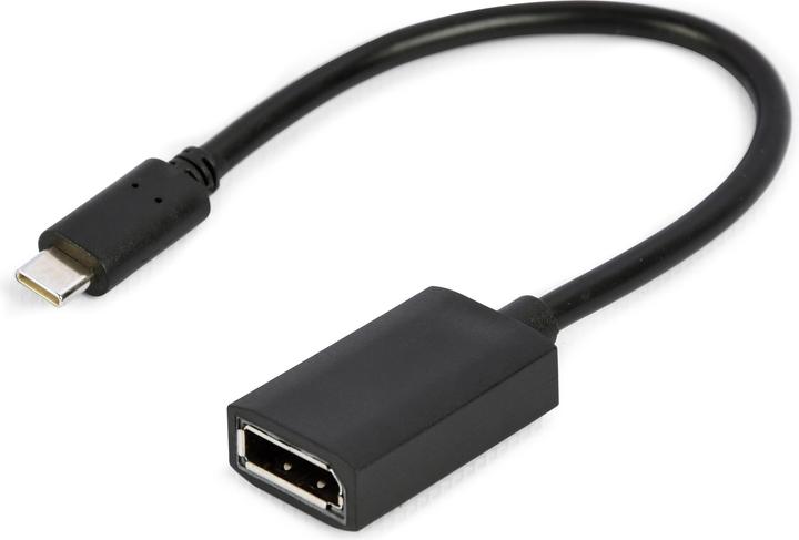 Actual product image Gembird USB Type-C zu (DP, 2.50 cm)