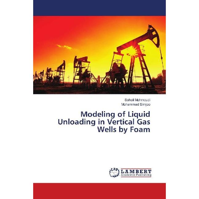 Modeling of Liquid Unloading in Vertical Gas Wells by Foam, Fachbücher von Mohammad Simjoo, Soheil Mahmoudi