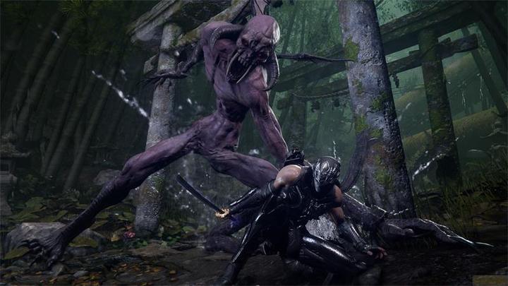 Produktbild Microsoft Ninja Gaiden 4 (PS5, DE, FR, EN)