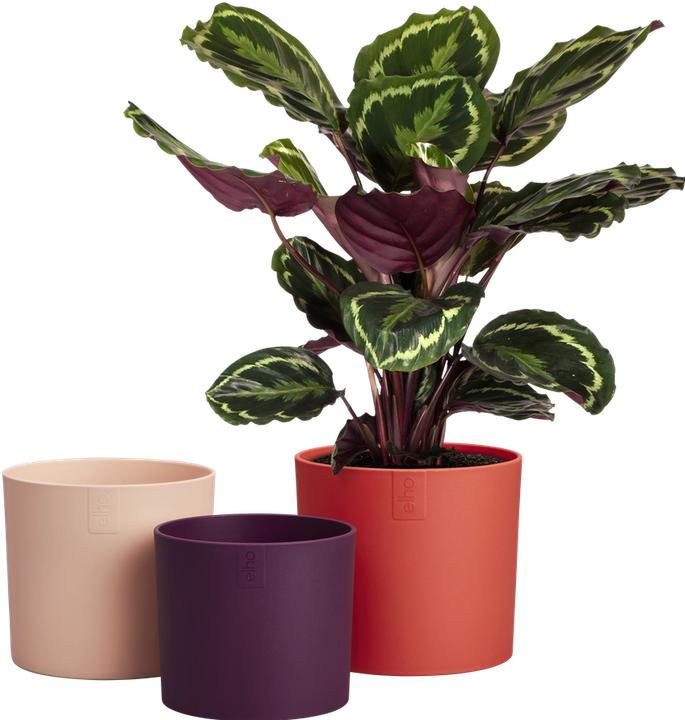 Produktbild Elho Lex Pott Set