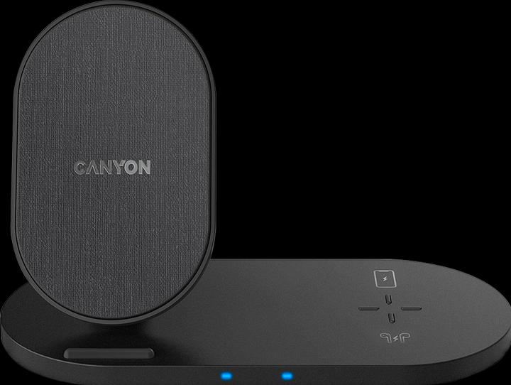 Actual product image Canyon WS-202 (10 W)