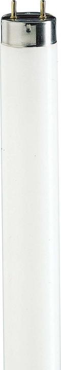 Produktbild Philips MASTER TL-D 79er Lichtfarbe-Fluorescent 871150070623240 (G13, 2800 lm, 1x)