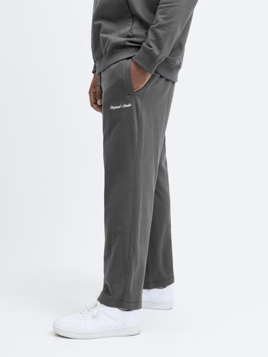 Actual product image Jack & Jones Plus Size Relaxed Fit Relaxed Fit Hosen Relaxed Fit Hosen (44)