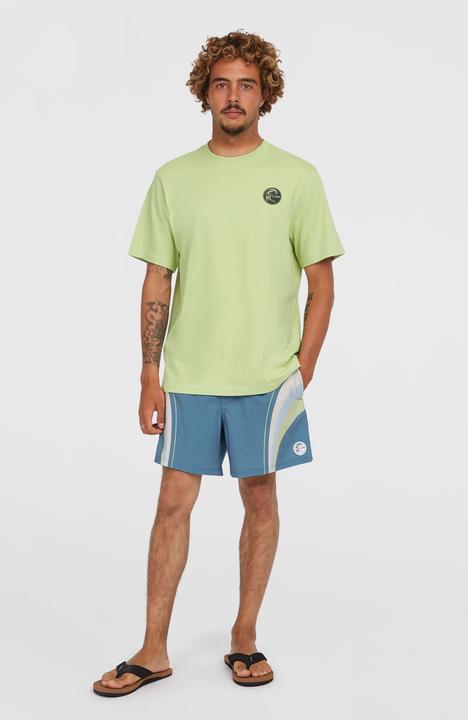 Actual product image O'Neill O'Riginals Longboard 15 Swimshorts (XL)