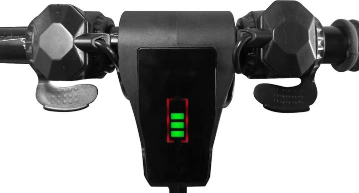 Immagine prodotto Vmax R70 Rollywood (17 km/h, 12 km, 250 W)