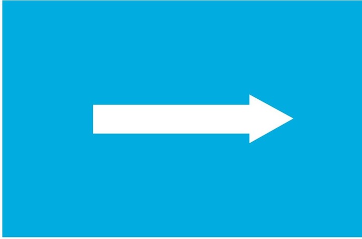 Image du produit Moravia Signal de navigation E.6, R2, sens de circulation recommandé