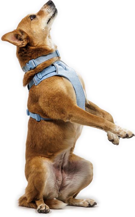 Produktbild Ruffwear Front Range Flex (S, Hund)