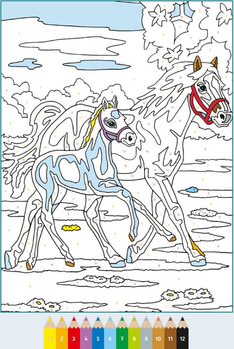 Produktbild Ravensburger Malbuch Malen nach Zahlen