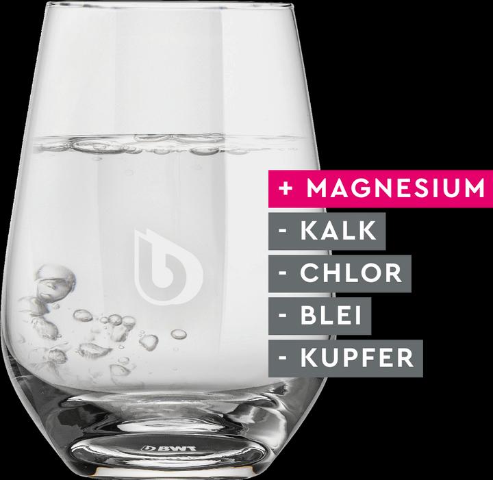 Produktbild BWT Tischwasserfilter Penguin mit 12 Magnesium Mineralized Filterkartuschen