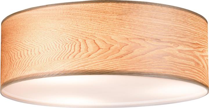 Produktbild Paulmann Neordic Liska (E27)