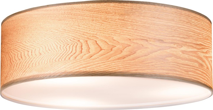 Produktbild Paulmann Neordic Liska (E27)