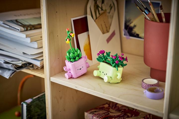 Actual product image LEGO Rocking plants (11506, LEGO Botanicals)