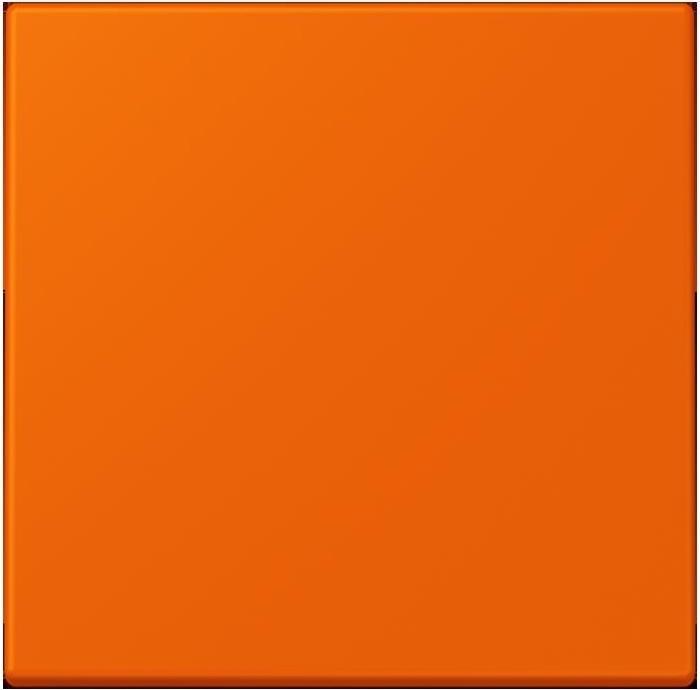 Actual product image JUNG Rocker