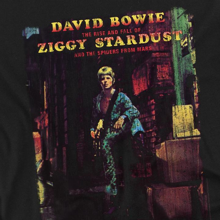 Produktbild David Bowie Ziggy Stardust Album TShirt (XL)