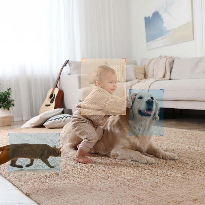 Productafbeelding Foscam R8M (3840 x 2160 Pixels)