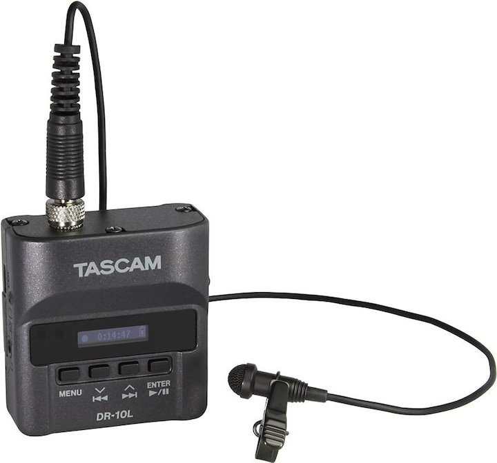 Tascam DR-10L (Various)