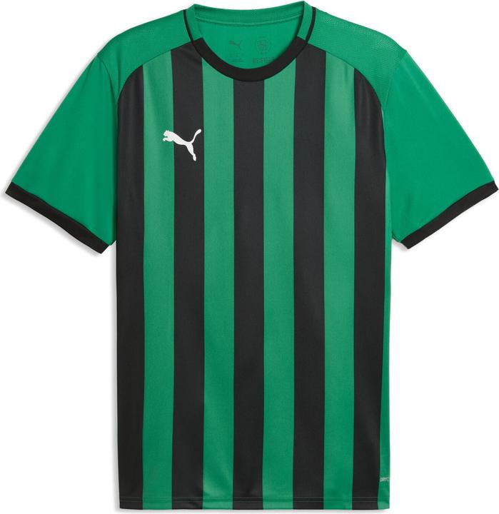 Produktbild Puma Team Liga26 (XL)