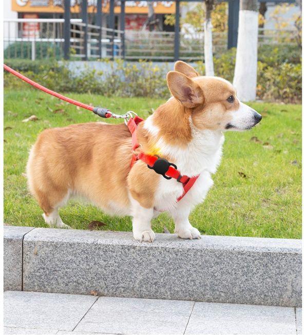 Produktbild MU Classic Halsband Halterung für Haustiere