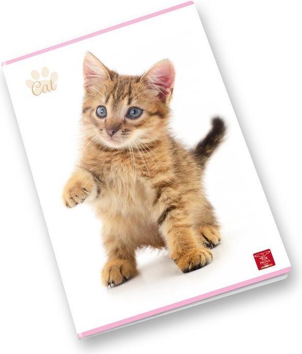 Pigna Confezione 10 Quaderni Maxi Assortito Bimbo (Righe)