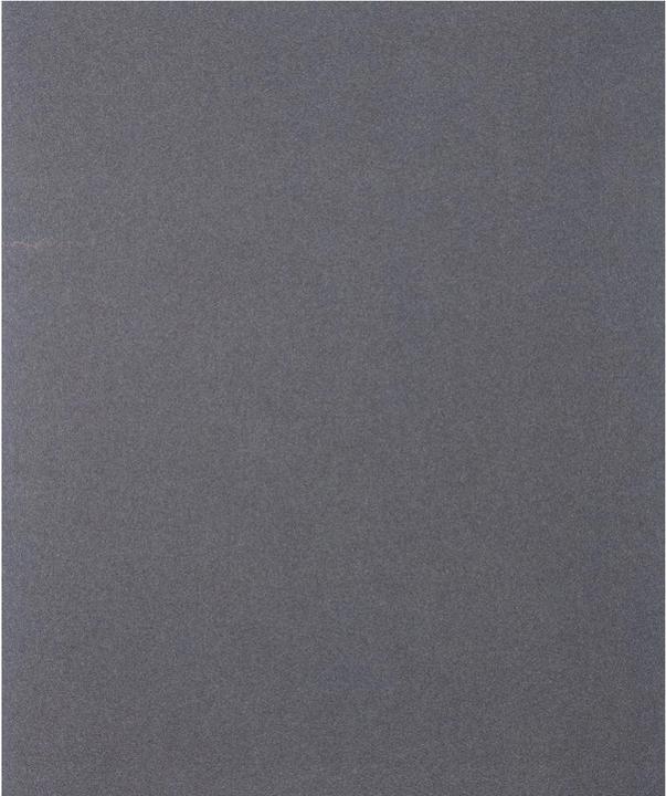 Produktbild Pferd Blattware BP 230x280 SiC 240 (240)