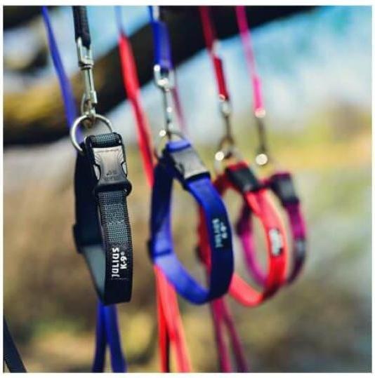 Actual product image Julius-K9 Rubberised dog collar red M (M, Dog)