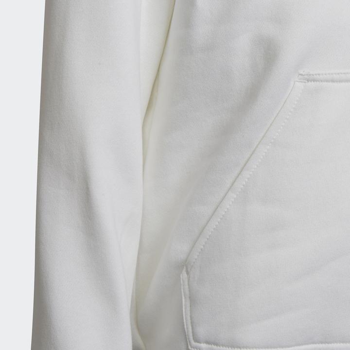 Produktbild adidas Entrada 22 Kapuzenpullover Kinder (176)