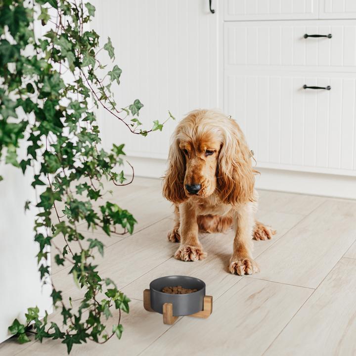 Actual product image Relaxdays Dog Bowl (0.85 l)