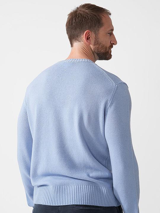 Actual product image Lacoste Jumper (S)