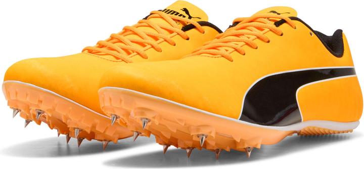 Actual product image Puma evoSPEED Sprint 14.5 (41)