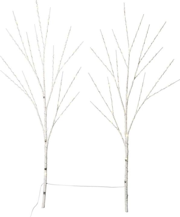 Image du produit STT Set de branches de bouleau