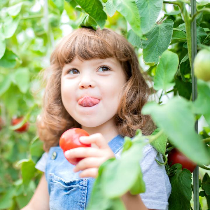 Immagine prodotto Relaxdays 10x bastoncini per piante (1 cm, 1 cm)