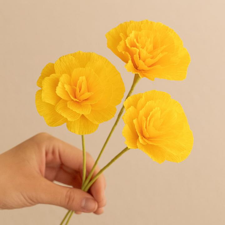 Produktbild Goertz Gärtnerkrepp (2.50 m)