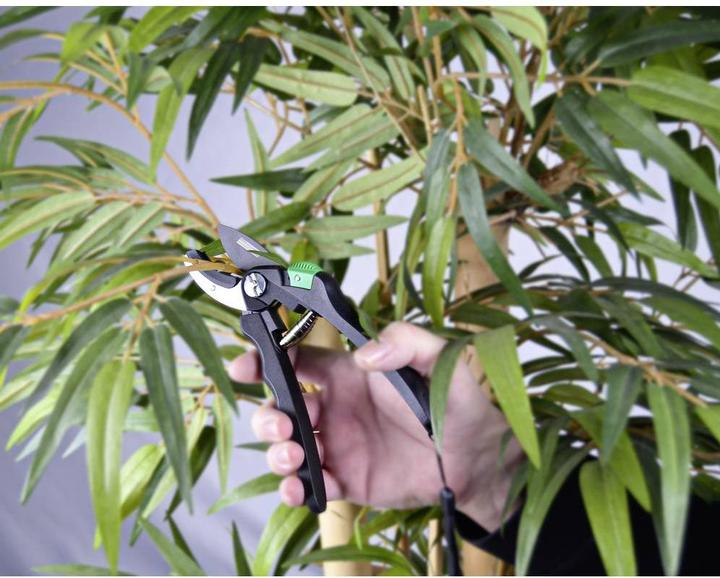 Productafbeelding Mannesmann Aambeeld tuinschaar
