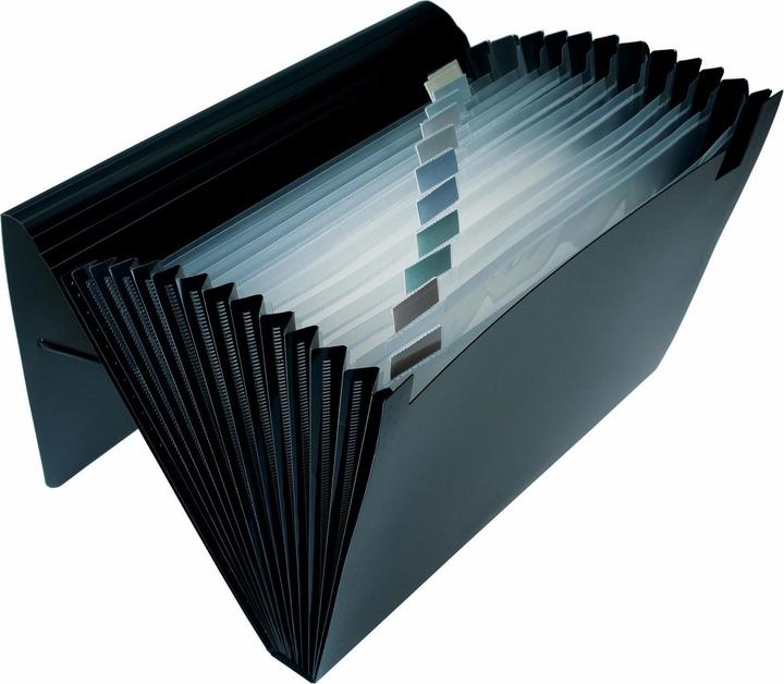 Image du produit Dufco Expanding File (A4, 1 x)