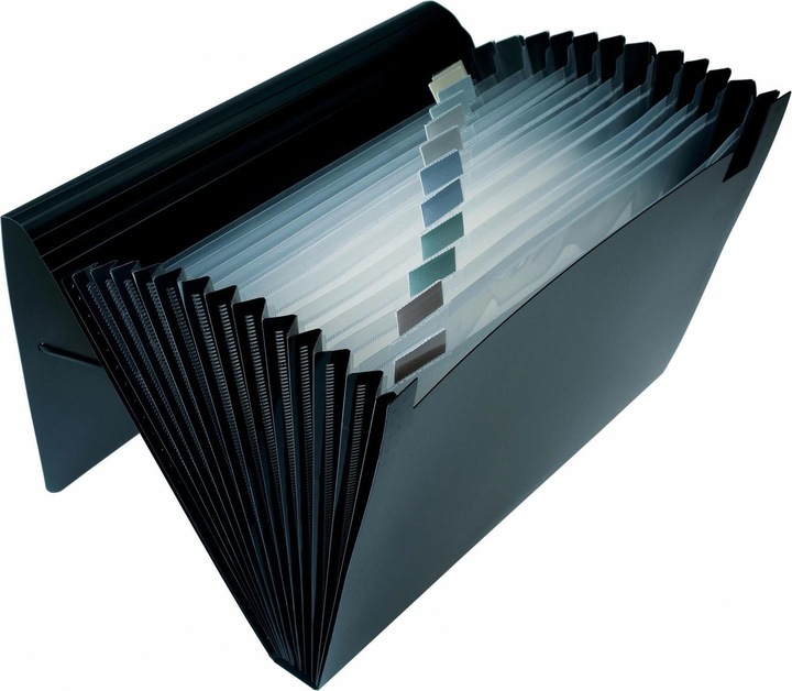 Actual product image Dufco Expanding File (A4, 1 x)