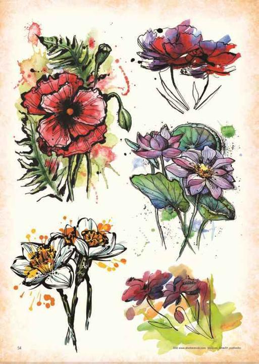 Produktbild Watercolor - Premium Style (Deutsch, Kruhm Verlag, 2016)
