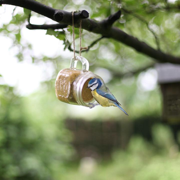 Produktbild Best for Birds FB830 (1 x, 0.57 kg)