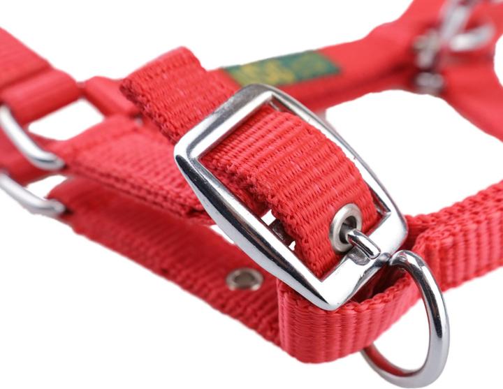 Immagine prodotto Usg Cavezza per puledro