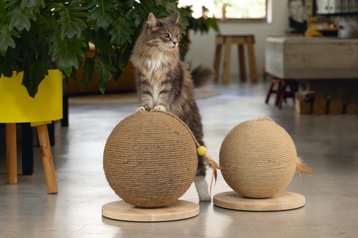 Actual product image Designed by Lotte Balty (27 cm, Brown)