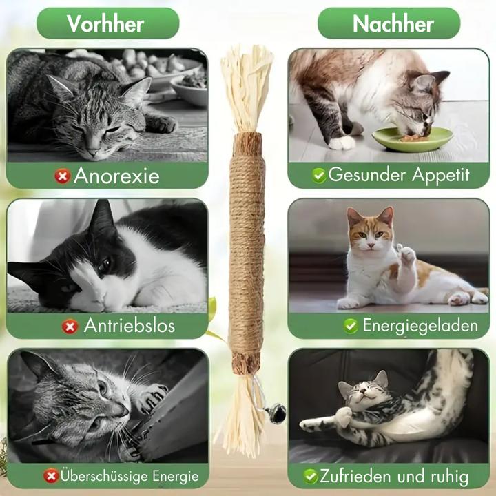 Produktbild Suba 4 Stück Matatabi-Sticks mit Fransen